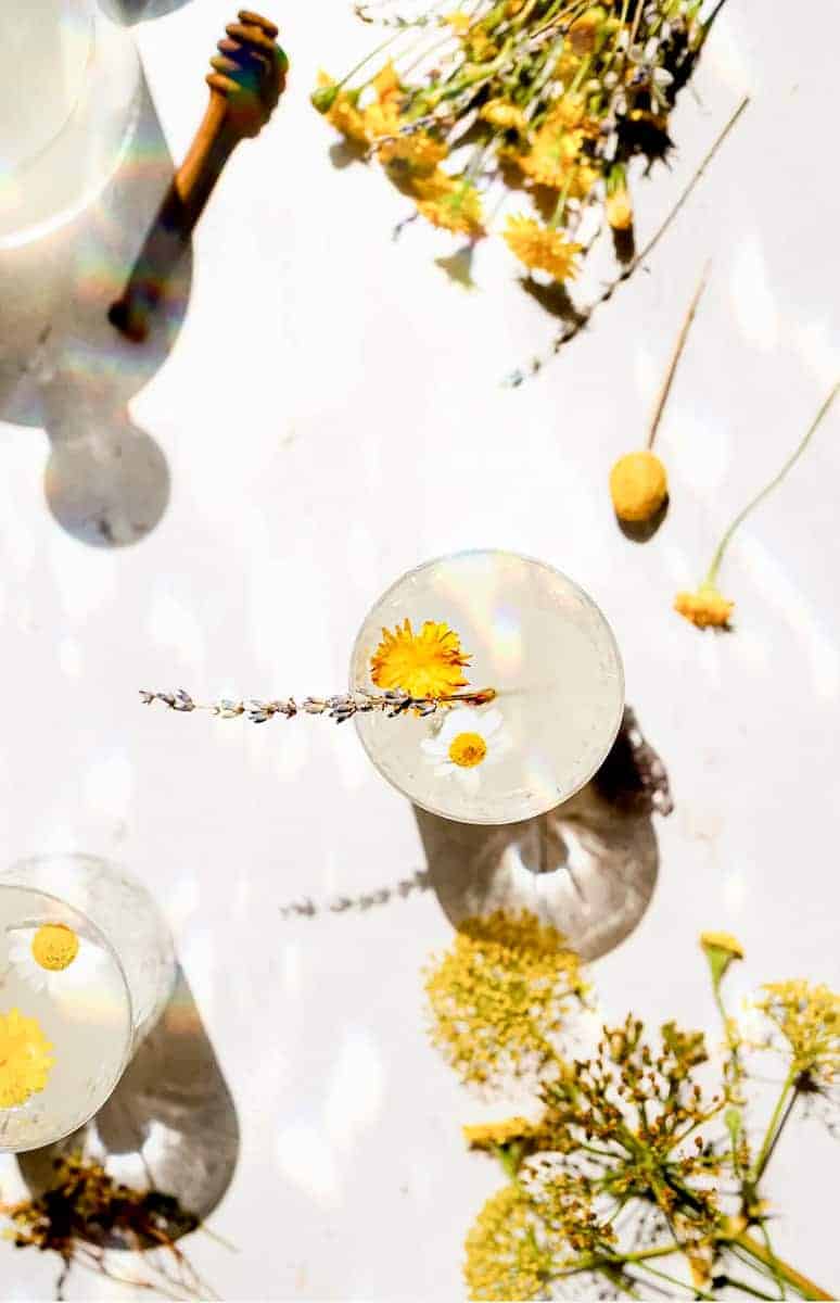 overhead shot of dandelion lemonade, beautiful image with bright light - a glass filled with light lemonade, and a dandelion floating on top, with harsh shadows from the bright sunlight