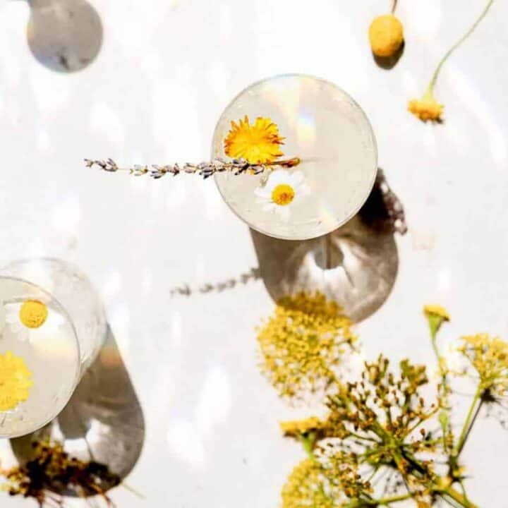 overhead shot of dandelion lemonade, beautiful image with bright light - a glass filled with light lemonade, and a dandelion floating on top, with harsh shadows from the bright sunlight