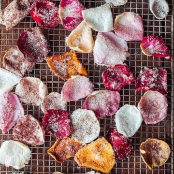 candied rose petals overhead close up