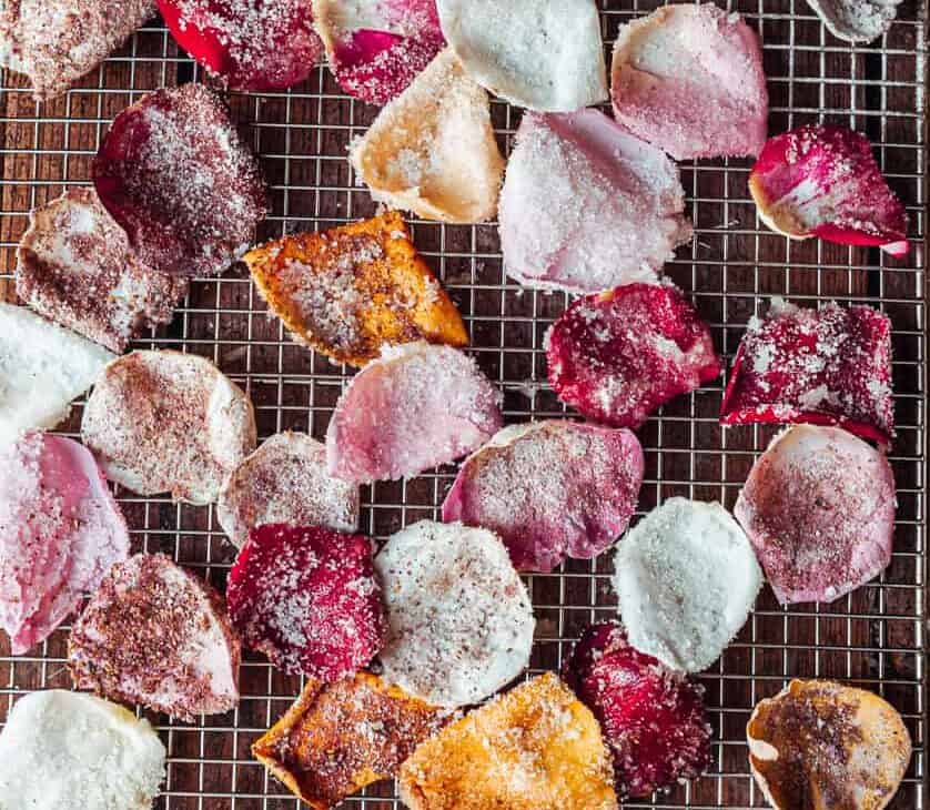 candied rose petals overhead close up