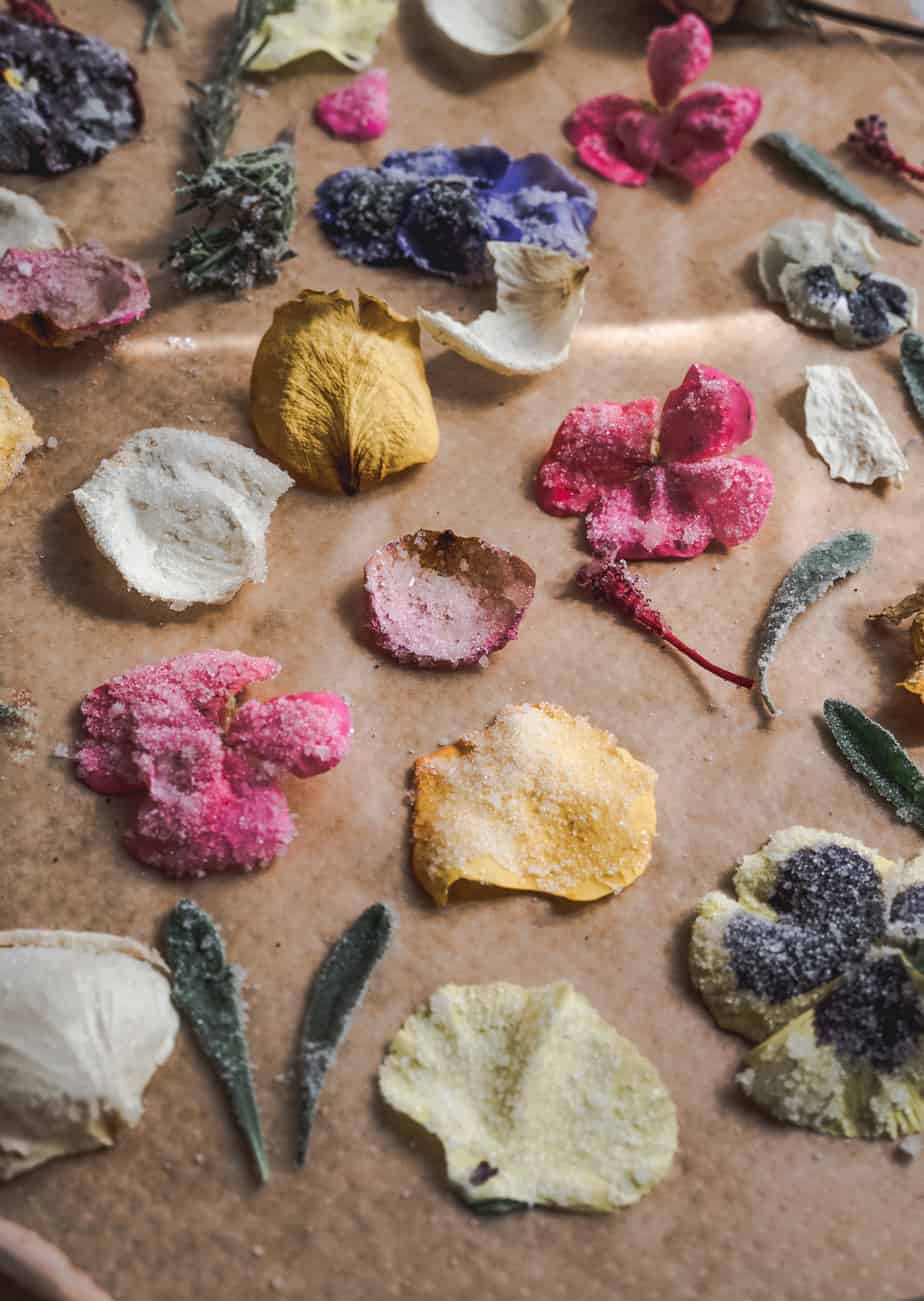 close up shot of flower petals with sugar on parchment paper for cake decoration