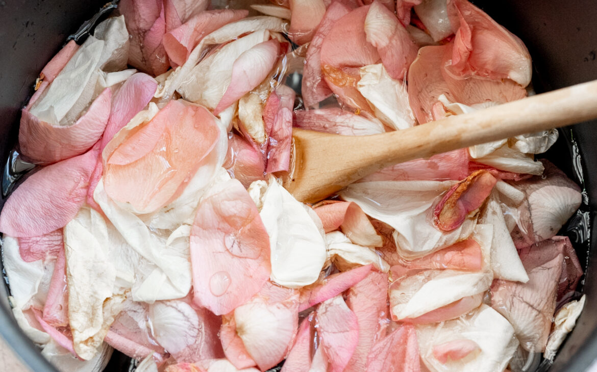 close up shot of rose petals sprinkled with water for homemade rose water