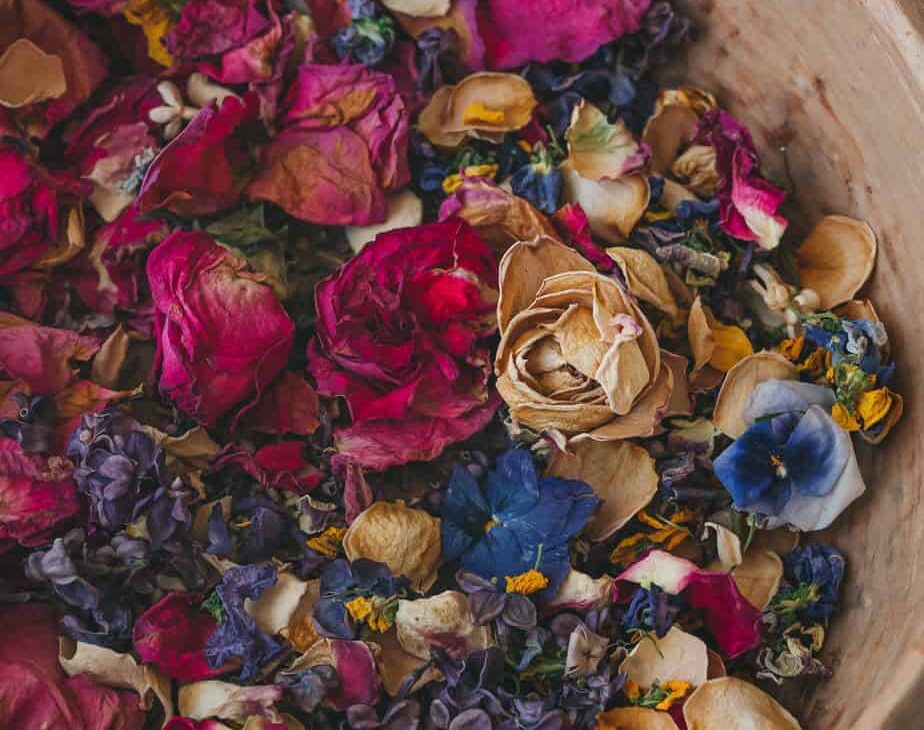 bowl of vibrant edible flower confetti