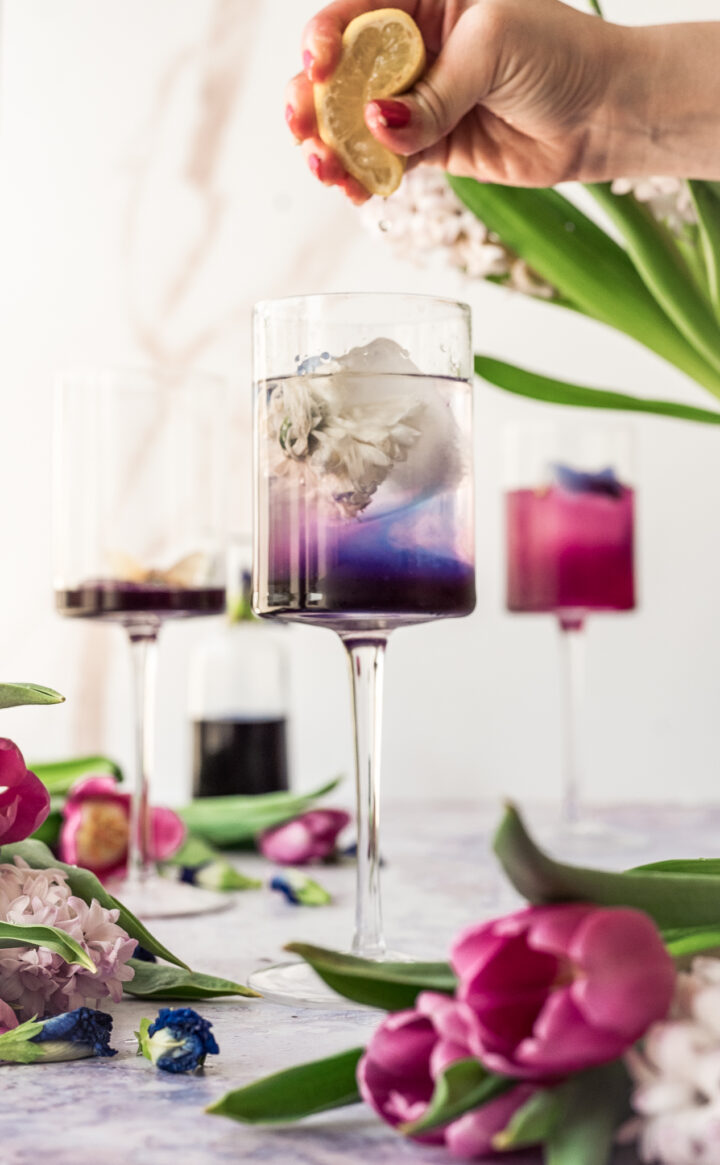 How To Make Butterfly Pea Flower Syrup Frolic & Fare