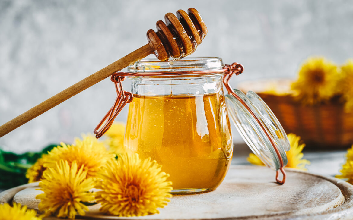 A jar of dandelion honey made from fresh flowers in spring