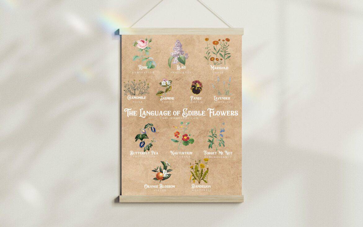 Edible Flowers And Their Meaning Free Chart + Poster Download
