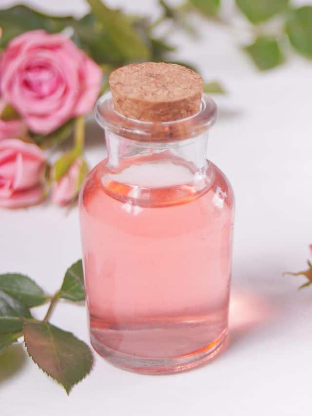 close up rose water syrup 1
