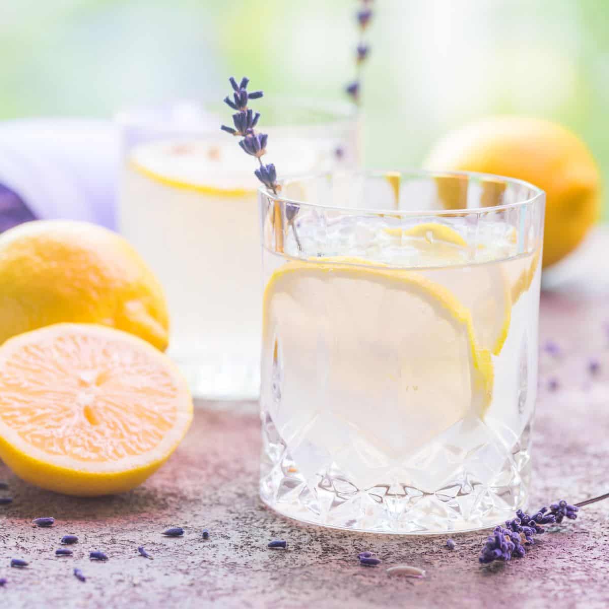 Lavender Lemon Gin And Tonic