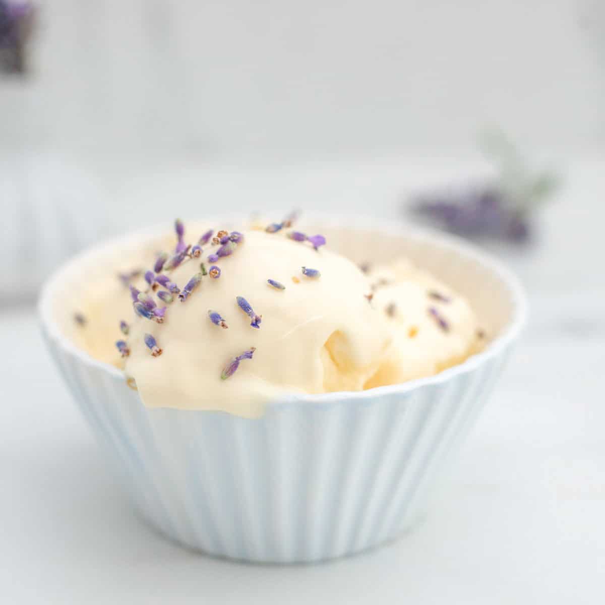 no churn lavender ice cream 2