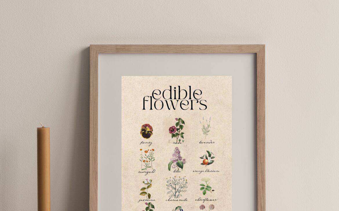 Popular Edible Flowers Poster
