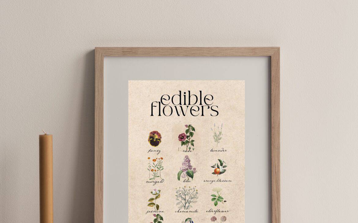 Edible Flowers: Chart / Poster / Food / Illustrations / Art Print / Home  Decor / Flower / Pansy / Violet / Nasturtium / Rose / Squashblossom 