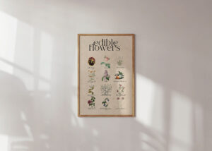 Poster with 12 popular edible flowers using vintage botanicals