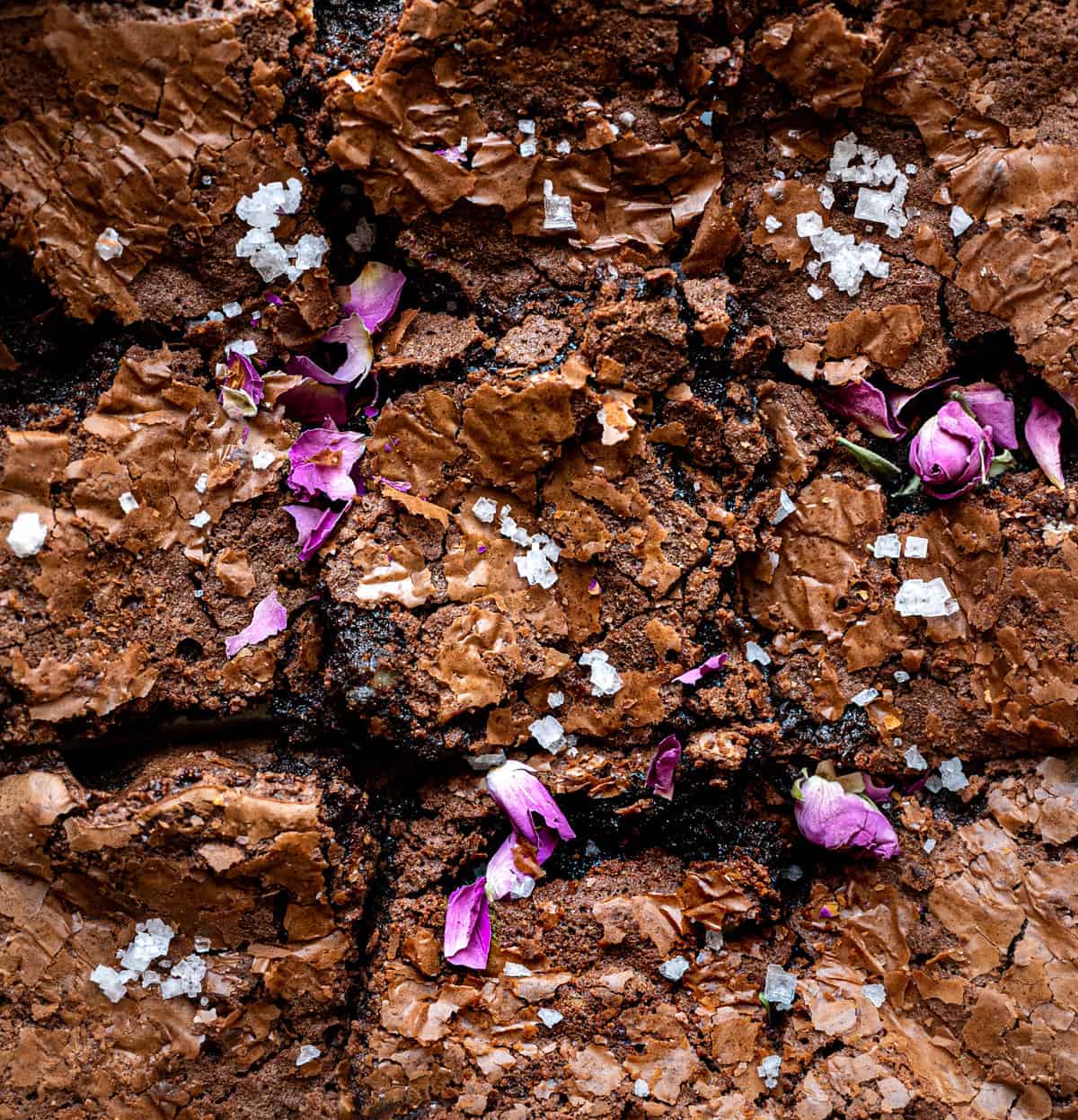 rose brownie 1