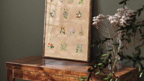 hunter green room with poster of edible flowers with sun glare and beautiful flowers