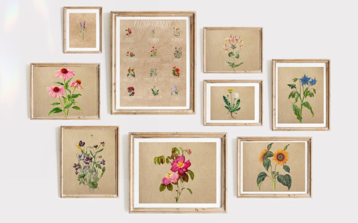 floriography flower prints on a wall in multiple sizes