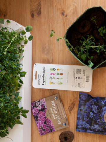 image of indoor gardening system with an abundance of flowers with edible flower seed packets