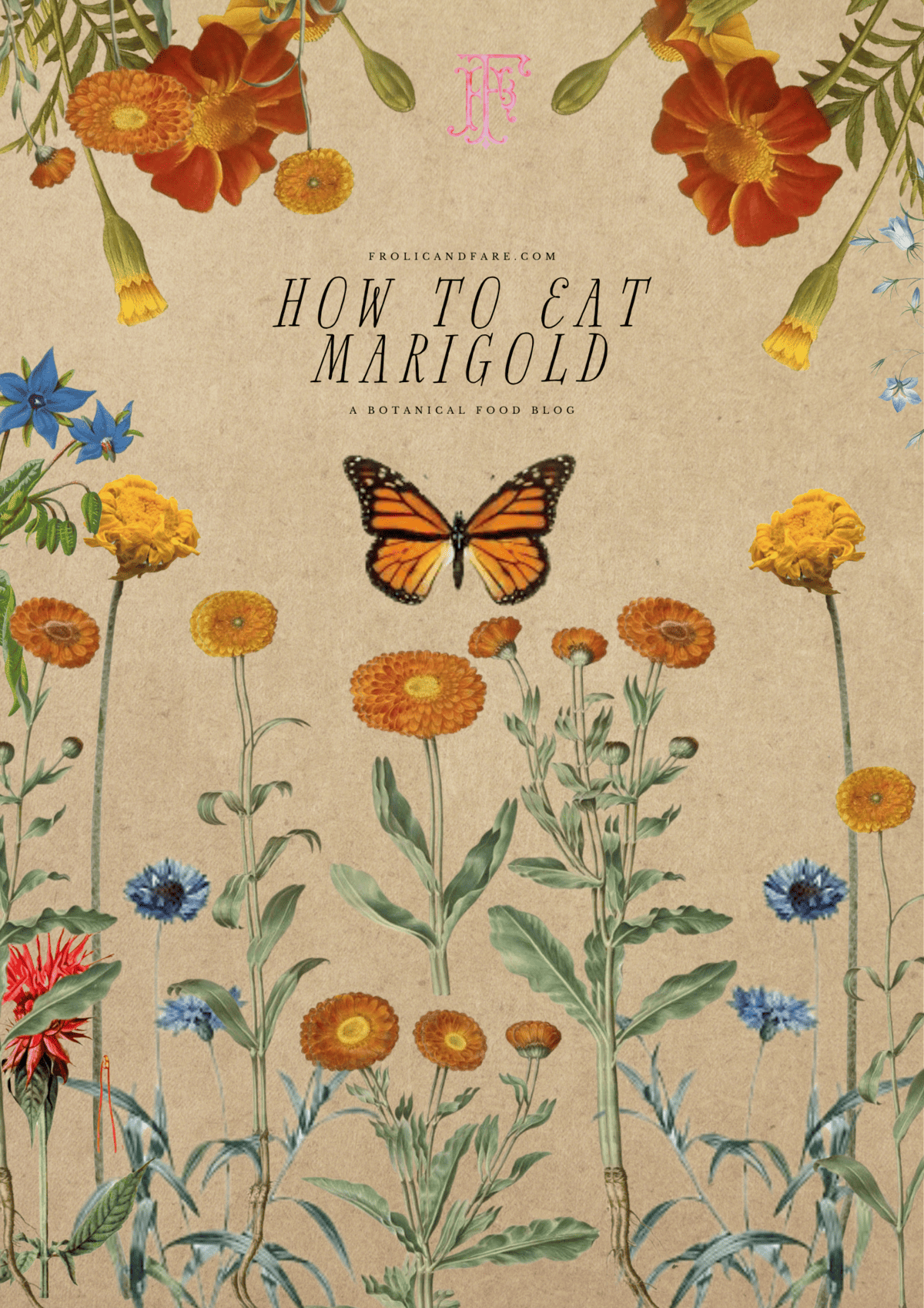 how to eat marigold collage art