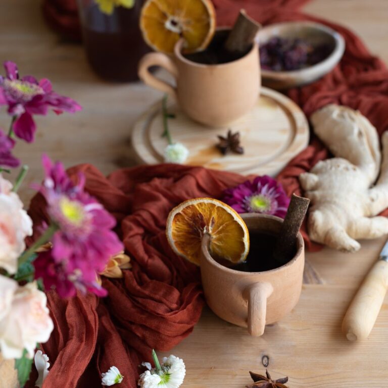 close up image of terracotta cup with orange slice and big piece of ginger showing healing herbal spiced cider