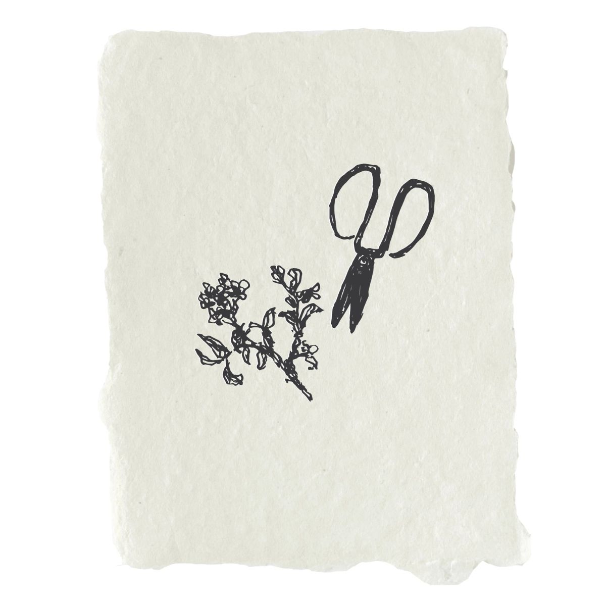 a drawing of a plant and scissors on handmade paper card