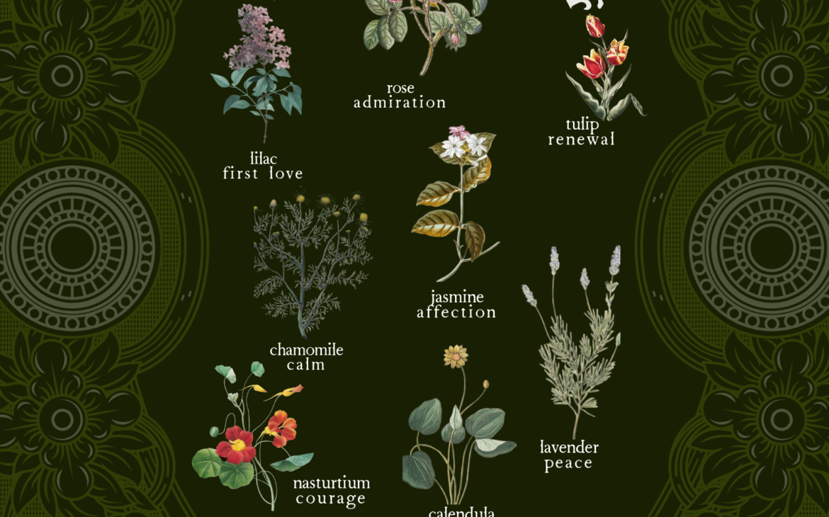 Edible flowers and their meaning download